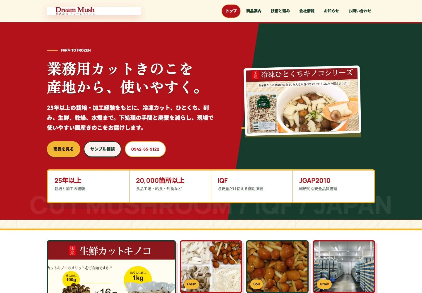Dreammushのデザイン制作例